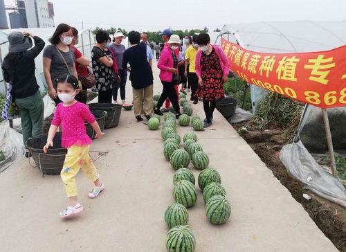 丽江夏天吃瓜群众,市民共享清凉时光