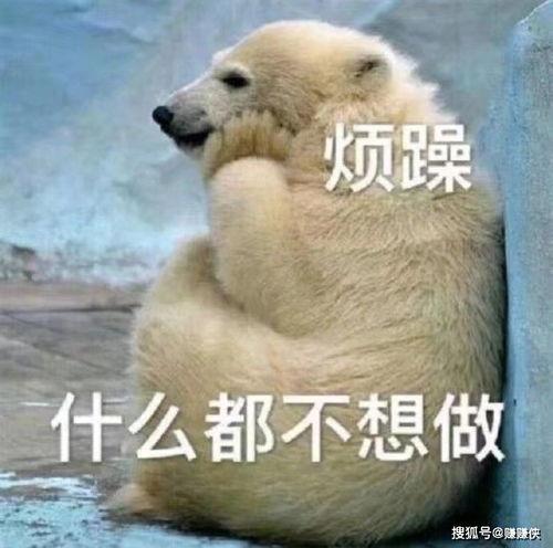 最可怜的吃瓜群众图片,揭秘幕后真相