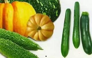 春夏秋冬吃瓜群众,吃瓜群众乐享瓜果盛宴