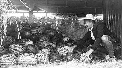 定远吃瓜群众事件视频曝光