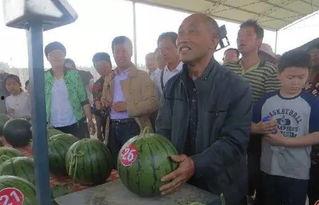 定远吃瓜群众事件视频曝光