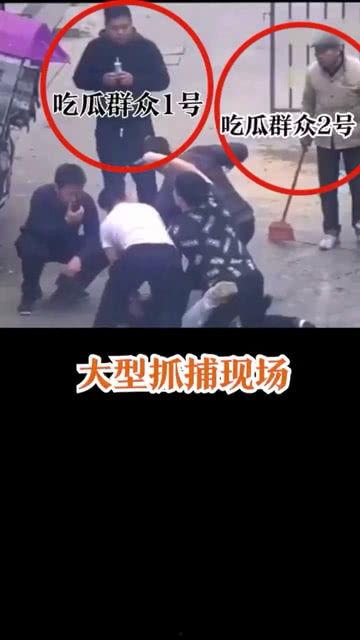 吃瓜群众抓证据,揭开真相之谜