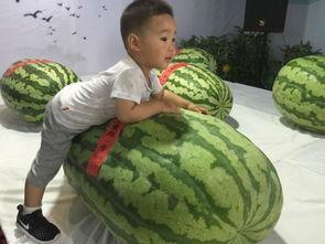 宜兴吃瓜群众事件最新情况,真相大白，网络舆论场再掀波澜