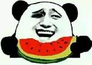 吃瓜群众卖狗头