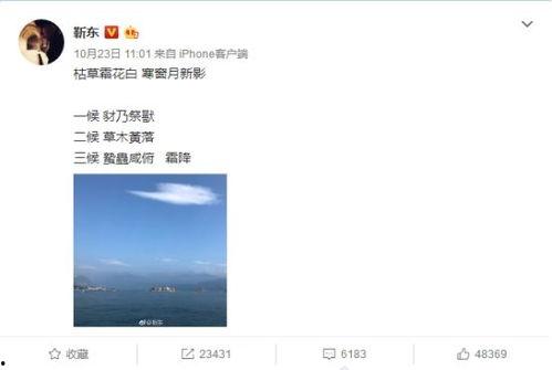 吃瓜群众岱岱-武侠评论,品鉴武侠世界的精彩瞬间