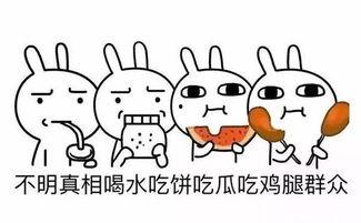 吃瓜群众起个啥名字好啊,吃瓜群众眼中的明星风云录