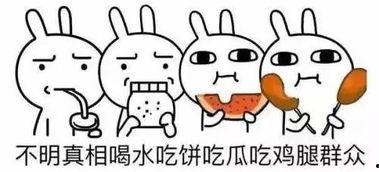 你不是吃瓜群众你是瓜,我不是吃瓜群众，我是瓜的制造者