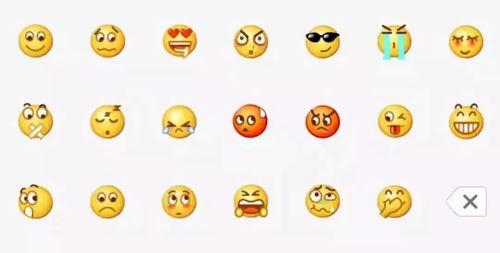 最后吃瓜群众,揭秘最后吃瓜群众的幕后故事