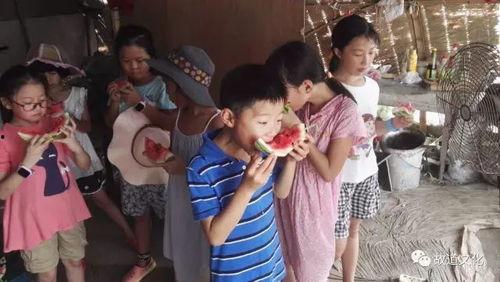 吃瓜群众内心急,揭秘吃瓜群众的内心急