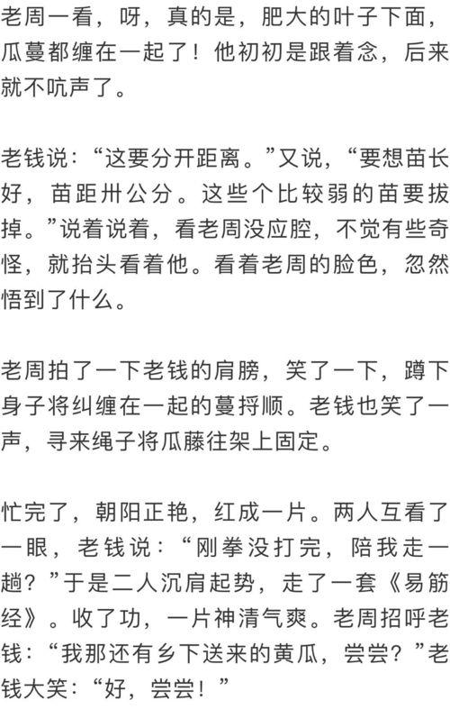 红楼吃瓜群众txt,揭秘大观园里的八卦风云