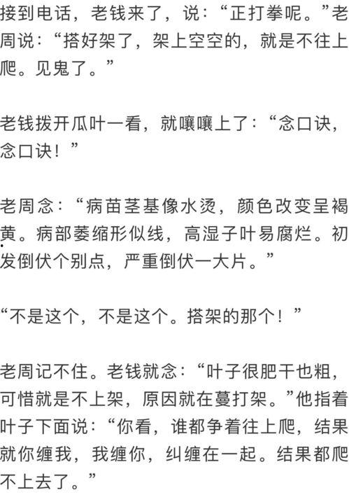红楼吃瓜群众txt,揭秘大观园里的八卦风云