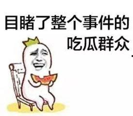 愚昧的吃瓜群众是什么,网络时代的迷思与反思