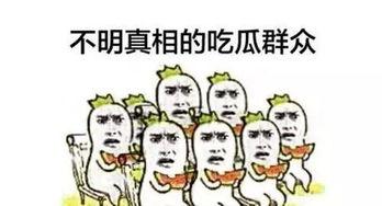 网红吃瓜群众网站是什么