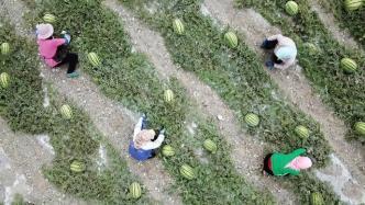 广西马山吃瓜群众打人,广西马山“吃瓜群众”打人事件引发社会关注