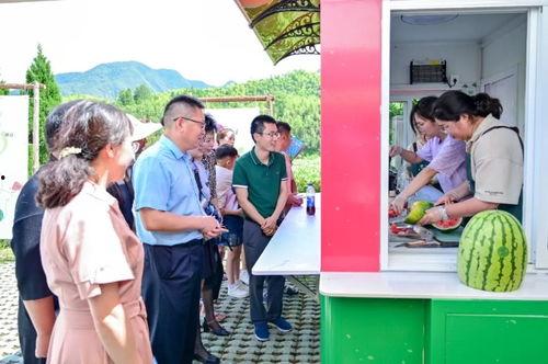 广西马山吃瓜群众打人,广西马山“吃瓜群众”打人事件引发社会关注