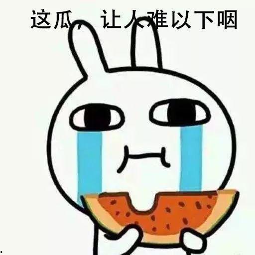 我的晚餐吃瓜群众英语翻译,Dinner Gossip: An English Translation of 'Eat the Melon, Audience!'