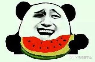 惊呆了吃瓜群众,惊呆众人!吃瓜群众见证惊人一幕