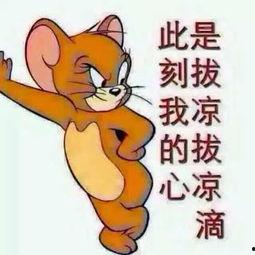 英俊的吃瓜群众图片高清,英俊吃瓜群众的风采瞬间