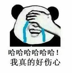 吃瓜群众不买账下句,揭秘明星新剧口碑下滑真相